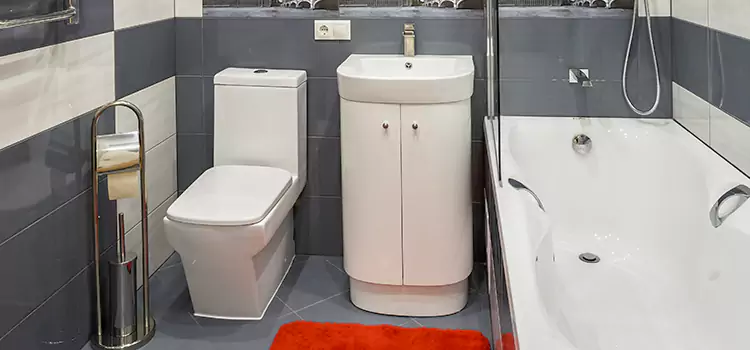 Hansgrohe Shaving Mirror Freeport